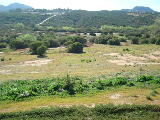 15141 Lone Oak Trl, Ramona, CA 92065 photo 18