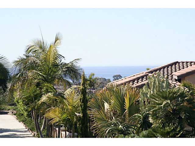 717 W Bluff Dr, Encinitas, CA 92024 photo 4
