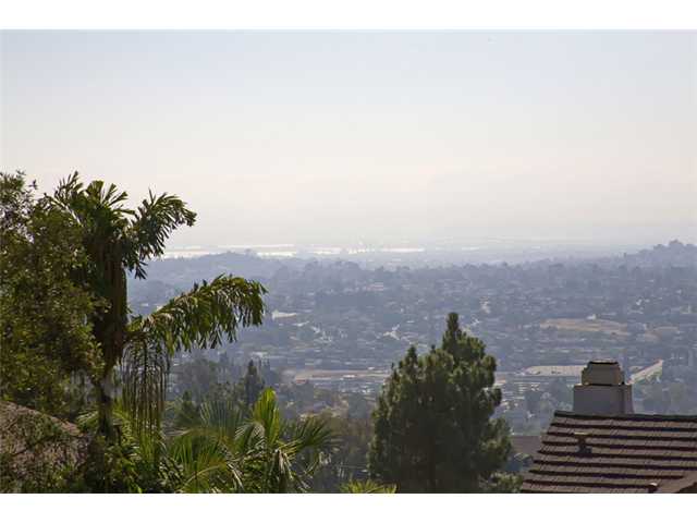 9511 Ivy St, Spring Valley, CA 91977 photo 24