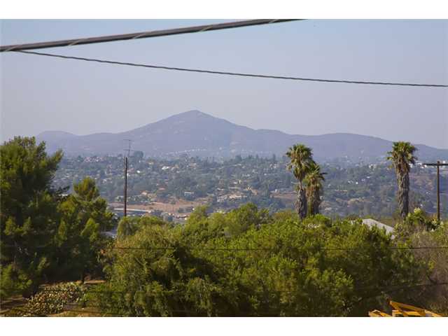9511 Ivy St, Spring Valley, CA 91977 photo 25