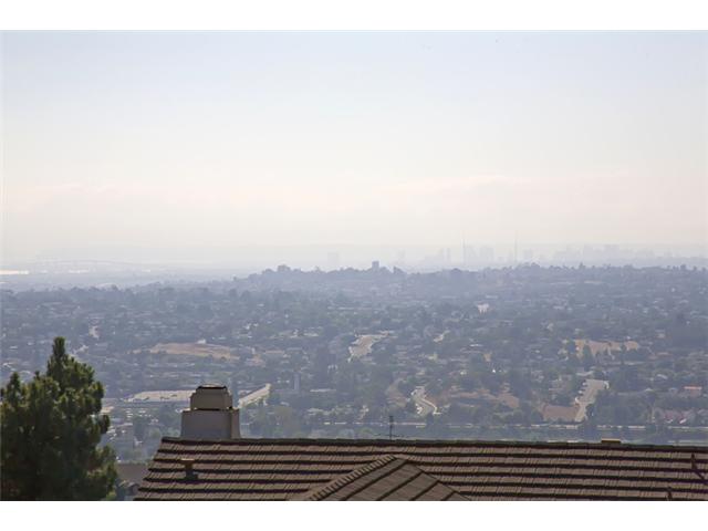 9511 Ivy St, Spring Valley, CA 91977 photo 23