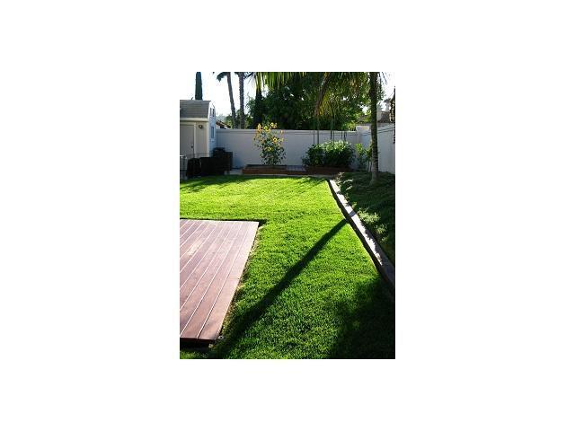 1664 Buttercup Rd, Encinitas, CA 92024 photo 21