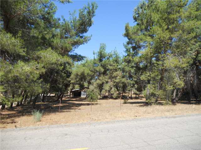 1551 Cedar St, Ramona, CA 92065 photo 3