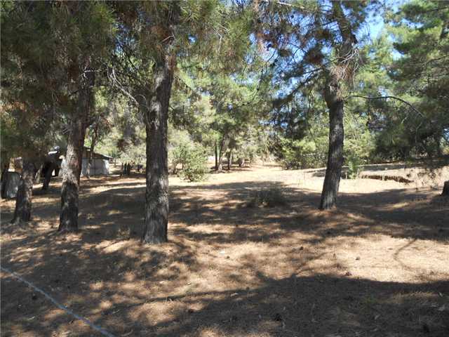 1551 Cedar St, Ramona, CA 92065 photo 13