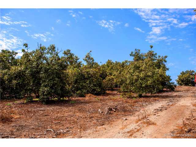 3624 Monserate Hill Rd, Fallbrook, CA 92028 photo 22