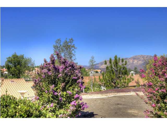 2609 Lobelia Rd, Alpine, CA 91901 photo 25