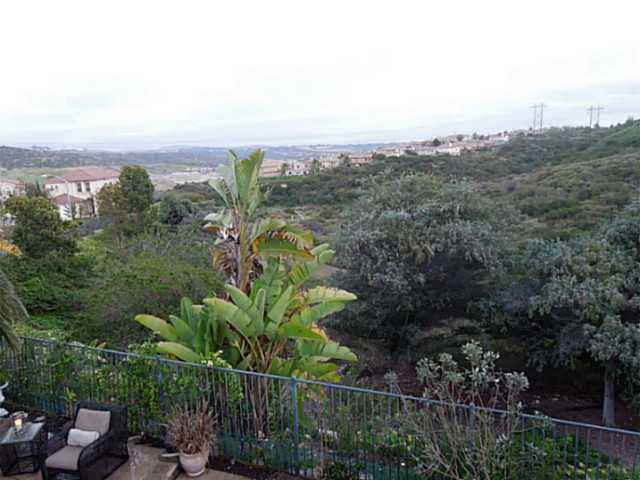3760 Cavern Pl, Carlsbad, CA 92010 photo 21