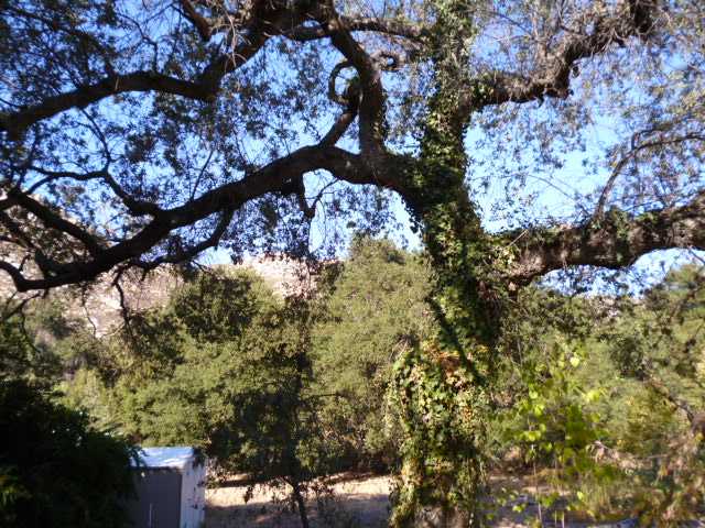 25536 Pappas Rd, Ramona, CA 92065 photo 10