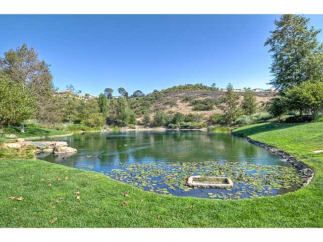 2251 Galena Ave, Carlsbad, CA 92009 photo 20