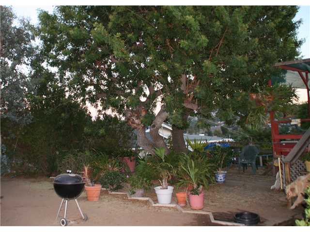 4010 Cortez Way, Spring Valley, CA 91977 photo 2