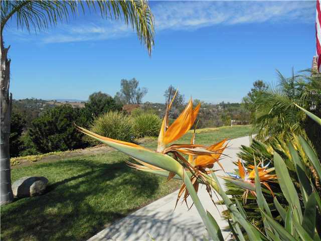 1744 Rabbit Hl, Fallbrook, CA 92028 photo 14