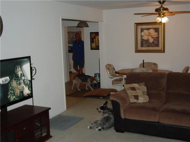 9233 Elton Dr, Santee, CA 92071 photo 14