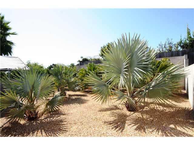 250 Rosebay Dr, Encinitas, CA 92024 photo 9
