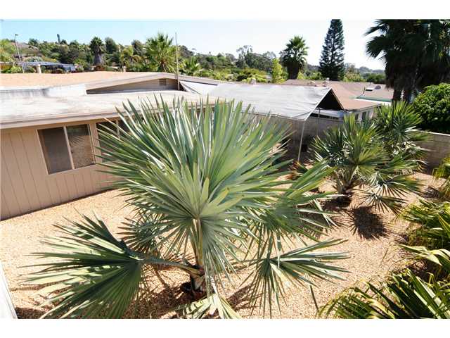 250 Rosebay Dr, Encinitas, CA 92024 photo 8