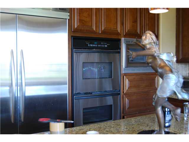 6690 Cabela Pl, Carlsbad, CA 92011 photo 3