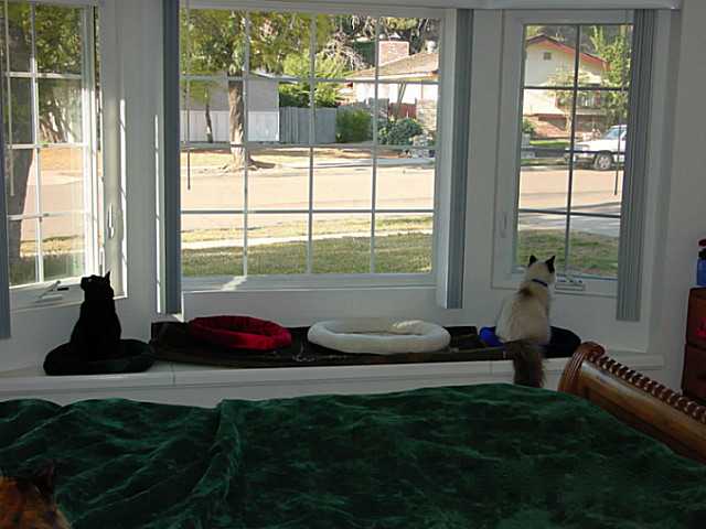 5945 Bob St, La Mesa, CA 91942 photo 3