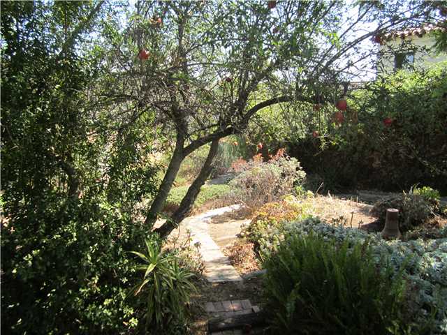 7910 El Capitan Dr, La Mesa, CA 91942 photo 21