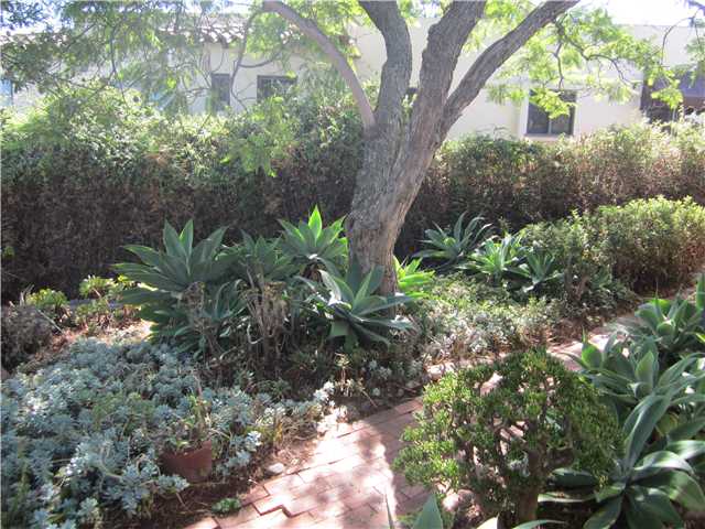 7910 El Capitan Dr, La Mesa, CA 91942 photo 22