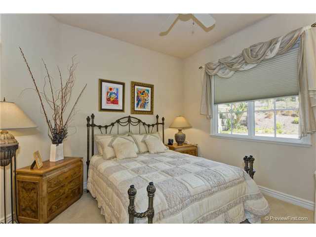 3356 Lone Hill Ln, Encinitas, CA 92024 photo 17