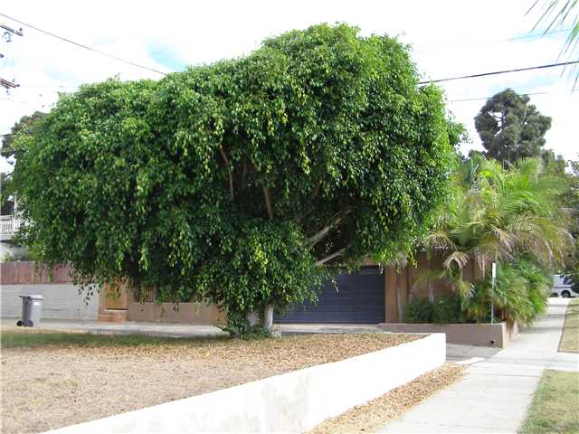 632 S Ditmar St, Oceanside, CA 92054 photo 7