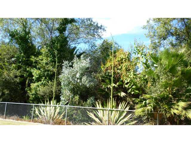 715 Convertible Ln, Fallbrook, CA 92028 photo 6