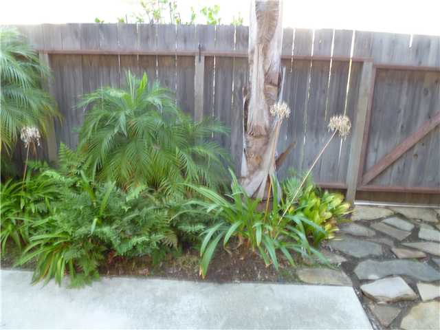 834 Stevens Ave, Solana Beach, CA 92075 photo 10