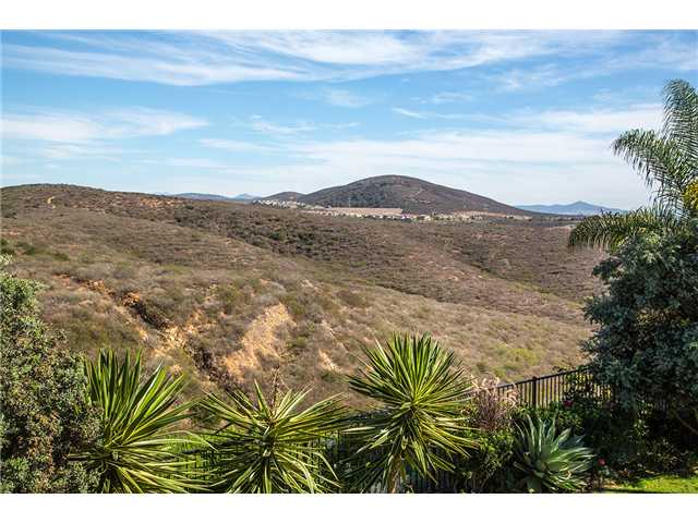 3204 Sitio Montecillo, Carlsbad, CA 92009 photo 15