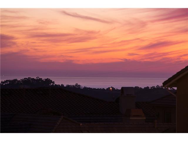 3204 Sitio Montecillo, Carlsbad, CA 92009 photo 16