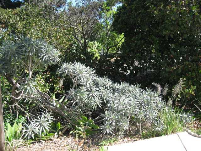 1201 Anza Ave, Vista, CA 92084 photo 20