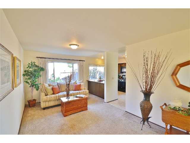 4103 Corte Centinella, La Mesa, CA 91941 photo 5