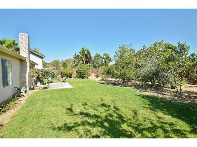 4103 Corte Centinella, La Mesa, CA 91941 photo 16