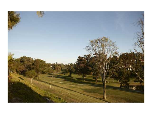 404 Santa Helena, Solana Beach, CA 92075 photo 22