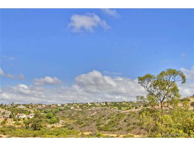 1247 Saxony Rd, Encinitas, CA 92024 photo 24
