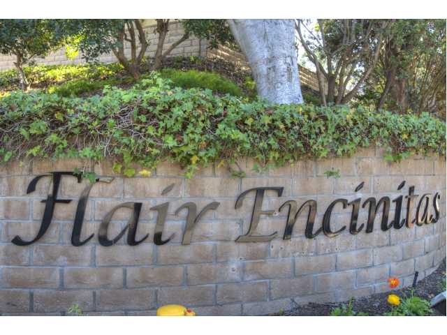 1776 Shadow Mountain Dr, Encinitas, CA 92024 photo 25