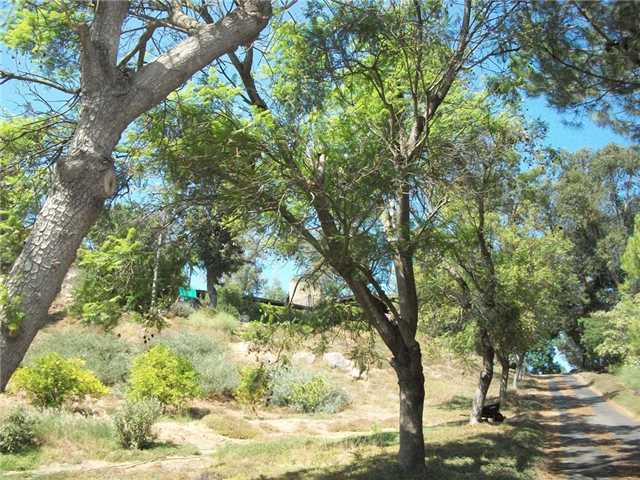 1810 Grove Rd, El Cajon, CA 92020 photo 25
