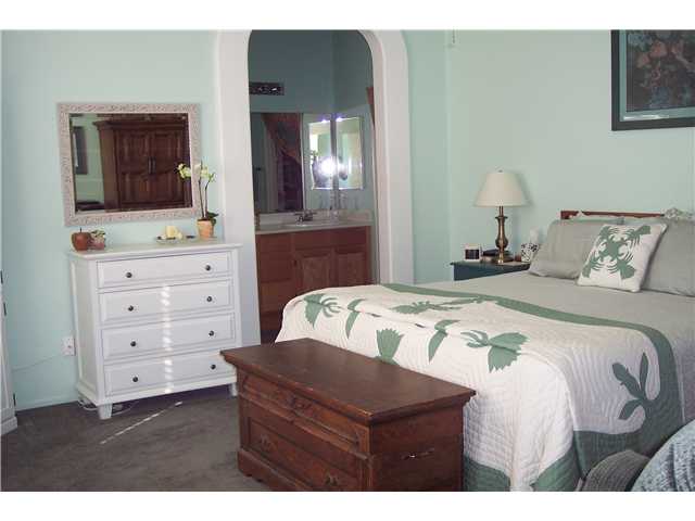 254 Diamante Way, Oceanside, CA 92056 photo 11