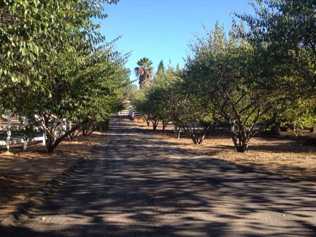 2193 Twisted Oak Ln, Alpine, CA 91901 photo 2