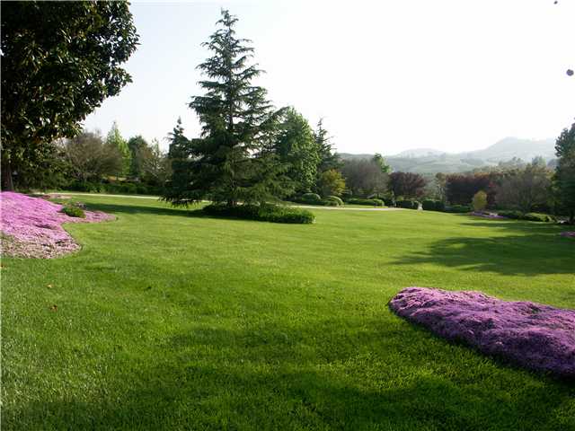 30 Country Glen Rd, Fallbrook, CA 92028 photo 22