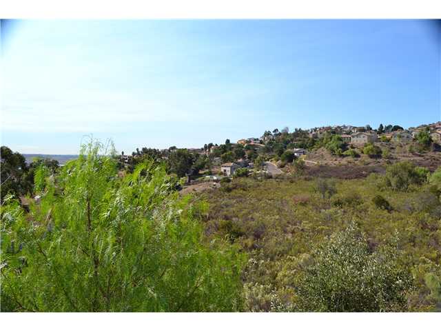 10403 Miracle Waters Ct, Spring Valley, CA 91977 photo 20