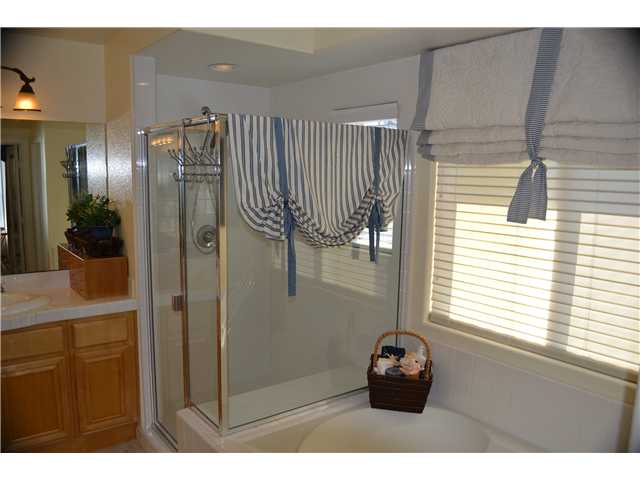 10403 Miracle Waters Ct, Spring Valley, CA 91977 photo 14