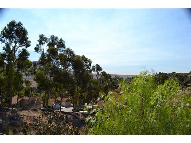 10403 Miracle Waters Ct, Spring Valley, CA 91977 photo 22