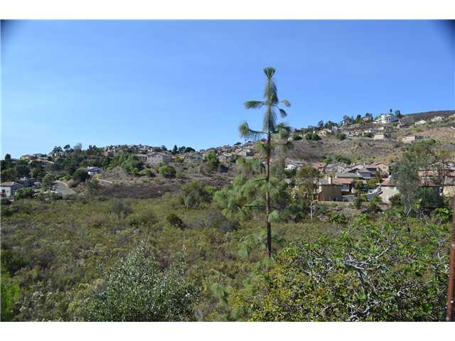 10403 Miracle Waters Ct, Spring Valley, CA 91977 photo 21