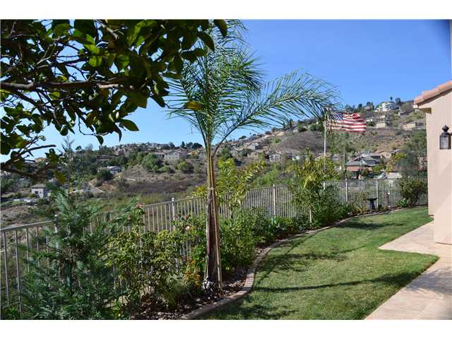 10403 Miracle Waters Ct, Spring Valley, CA 91977 photo 18