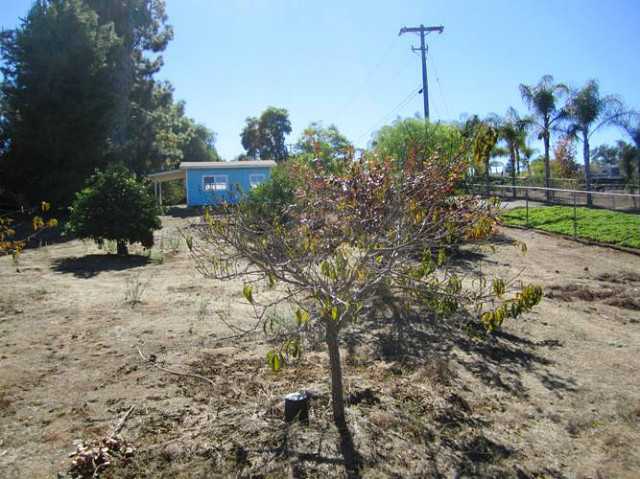 1842 Acacia Ln, Fallbrook, CA 92028 photo 23