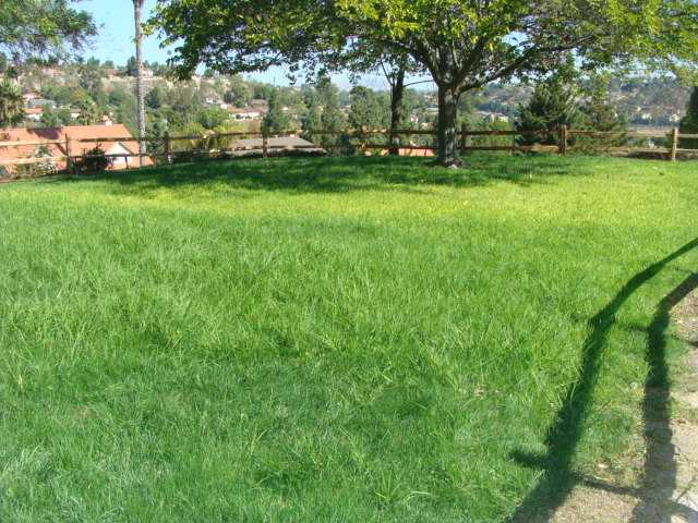 2421 Fairhurst Pl, Spring Valley, CA 91977 photo 10