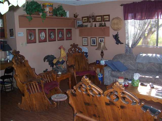 617 Anderson Rd, Alpine, CA 91901 photo 5