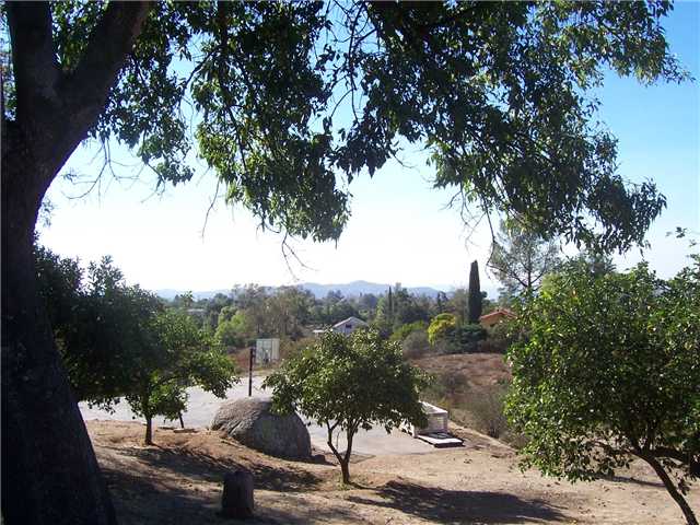 617 Anderson Rd, Alpine, CA 91901 photo 19