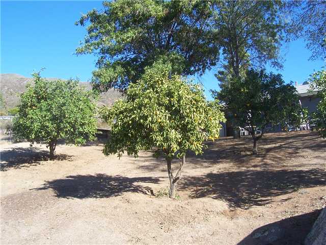 617 Anderson Rd, Alpine, CA 91901 photo 17