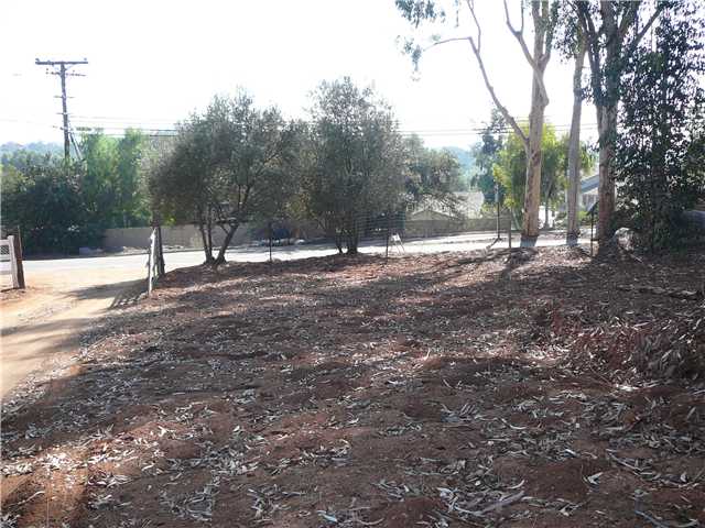 2146 Lilac Ln, Alpine, CA 91901 photo 3