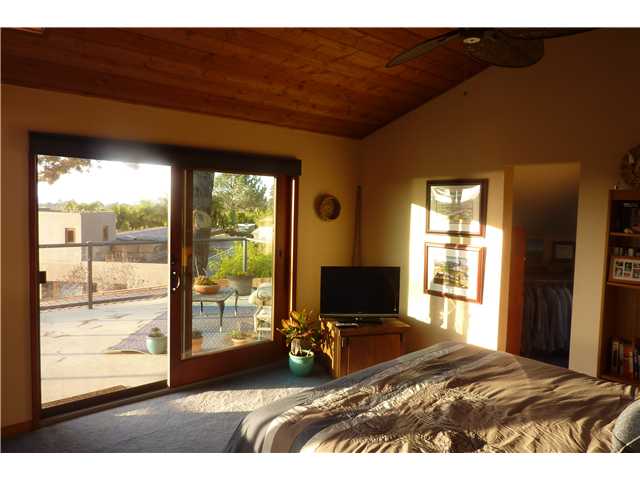 458 W Palmitas St, Solana Beach, CA 92075 photo 10